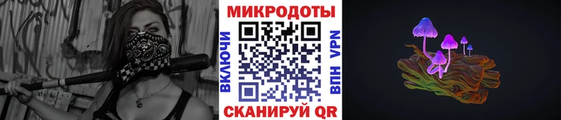 Псилоцибиновые грибы Psilocybine cubensis  Новороссийск 